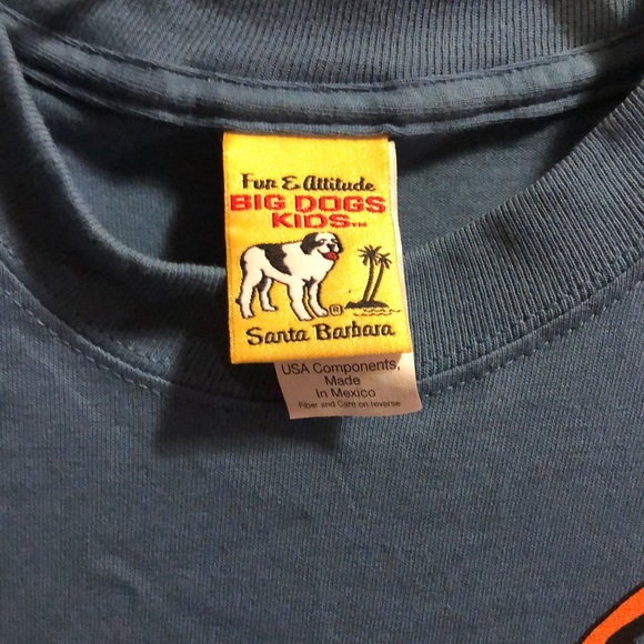 Big Dogs Shirts & Tops Vintage Big Dogs Kids Big Air Skateboard